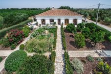 Villa in Vila Nova de Cacela - HHV 133
