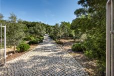 Villa in Tavira - HHV 109
